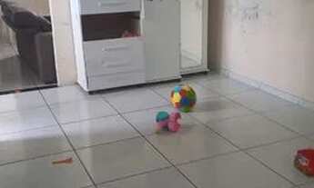 Imagem 6: ALUGA-SE CASA Casa com 1 dormitório