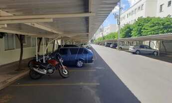 Imagem 4: Araçatuba - Apartamento - Umuarama