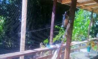 Imagem 4: Vendo chácara Chácara com venda por R$320.000