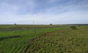 Imagem 3: Bonito de Minas - Fazenda 3000hectares - R$180.000.000,00