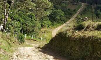 Imagem 6: Chácara São José dos pinhais