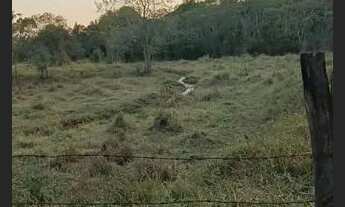 Imagem 7: Sitio raiz em Boituva, 4 alq 90% pasto