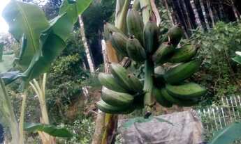 Imagem 3: 3 mil mts com fibra otica instalada