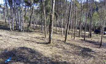 Imagem 2: Chacara belas Áreas Roseira Colombo/ Campina Grande do Sul