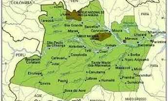 Imagem 7: BIOMA AMAZÔNICO: Fazenda a venda de 280 mil hectares, com a documentação completa