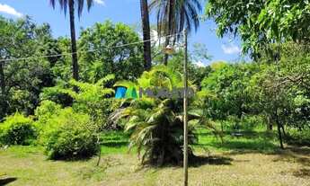 Imagem 7: FAZENDA À VENDA - 08 HECTARES - BALDIM (MG