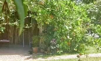 Imagem 5: Velleda oferece espetacular sítio todo arborizado com casa e piscina em Águas Claras