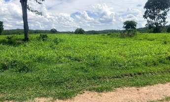 Imagem 2: Fazenda de 1.200 hectares sentido Cáceres MT
