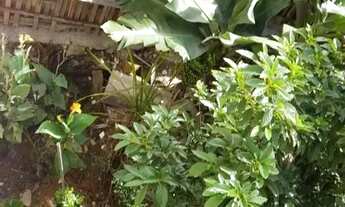 Imagem 2: Terreno em Jardim Laura por R$ 200.000. Imóvel Rural em São Paulo/SP