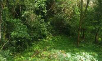 Imagem 6: Chácara Troca 3.100m2 em SJP na Roça Velha, Troca