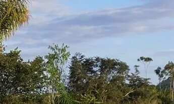 Imagem 5: Lindo Sítio (dois lotes unidos) com 136,5 hectares de área total na Félix Pinto