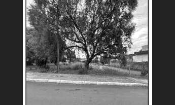 Imagem: Oportunidade Única em CARAZINHO - RS