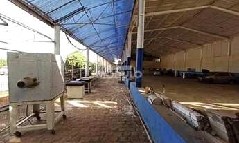 Imagem 3: Galpão comercial para locação, bairro Segismundo Pereira