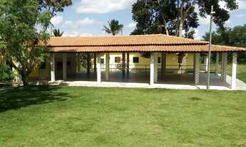 Imagem 4: Sitio /Chácara Flor de Laranjeira, 10 tarefas, a 10km de Feira de Santana