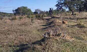 Imagem 5: Chacara a venda Chácara com venda por R$80.000