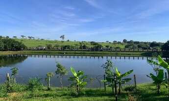 Imagem 3: Terreno à venda, 377 m² por R$ 270.000,00 - Terravista Residence Club - Mirassol/SP