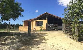 Imagem 3: FAZENDA A VENDA EM SÃO VICENTE - ARARUAMA