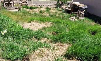 Imagem 2: Terreno na Avenida principal