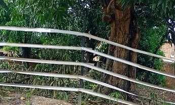 Imagem 4: LOTES AURENY III ( 2 juntos