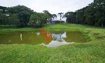 Imagem: Propriedade rural com 254.100m, casas