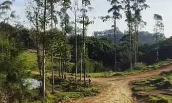Imagem 3: Vendo lotes a 1,5 km da Rodovia Presidente Dutra
