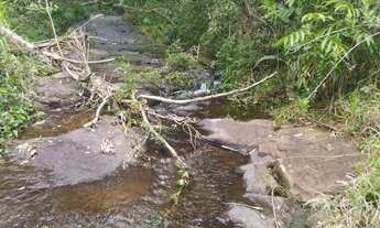 Imagem 5: Sitio em cassia dos coqueiros 1,2 alqueires 400.000.00