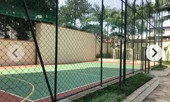 Imagem 3: TEMPORADA 4 a 8 MESES/ AMPLO