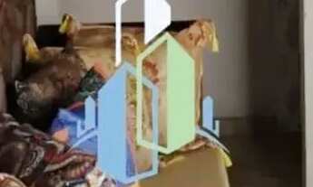 Imagem 3: APARTAMENTO NASCENTE ANDAR ALTO 110m² 3 QUARTOS 1 SUÍTE DEPENDÊNCIA GARAGEM INFRA VENDE GR