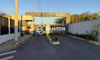 Imagem 2: Oportunidade de Apartamento no Jardim Primavera