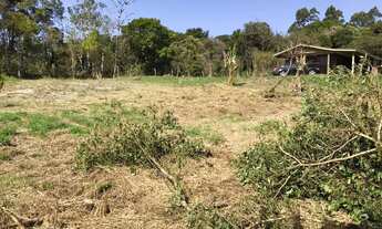 Imagem 3: Chácara em São José dos Pinhais