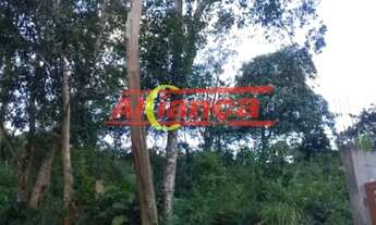 Imagem 6: TERRENO, LOTE COMERCIAL E RESIDENCIAL À VENDA, 1000M², RECREIO SÃO JORGE- GUARULHOS.GRU/SP