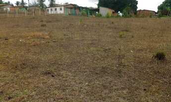 Imagem 6: Terreno localização no povoado novo descoberto