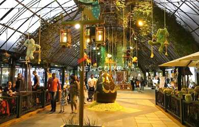 Imagem 7: Casa em Crescencio Till - Várzea Grande - Gramado/RS