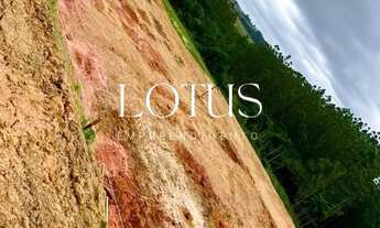 Imagem 5: 86c- TERRENOS PLANOS EM COTIA COM ACESSO RÁPIDO