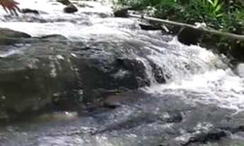 Imagem 5: Lindo citio em taquara de altinho próximo a Caruaru