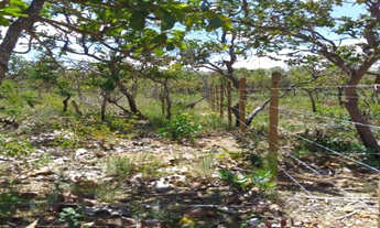 Imagem 4: Serra d Cipó!!! Chacara de 1.000m² 100% plano * WhtsApp
