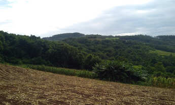 Imagem 5: Área de terras com 14 hectares localizada em São José do Sul