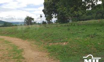 Imagem 2: Chácara 9 Alqueire (43,56 Há) Jandaia - GO