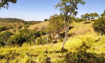 Imagem 3: Fazenda 84 alqueires em Palmeirópolis To