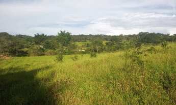 Imagem 3: Fazenda para venda possui 29 Alqueires em Cocalzinho de Goiás