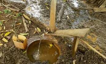 Imagem 2: Chácara 5 Alqueires em Jaraguá Goiás