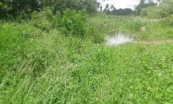 Imagem 6: Fazenda com 170 hectares em Pureza só terra