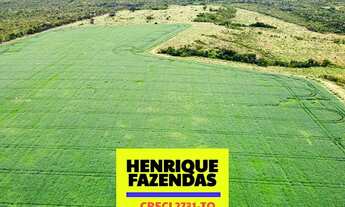 Imagem 4: Fazenda Santa Maria 2.521 hectares