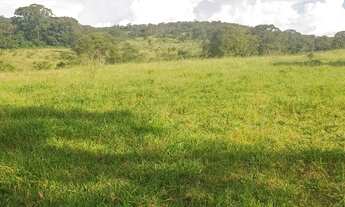Imagem: Fazenda para venda possui 29 Alqueires em