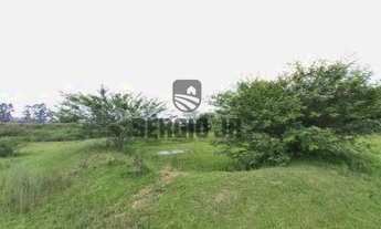 Imagem 7: Sítio com 2,6h e casa em Montenegro - 1,3 km da BR386