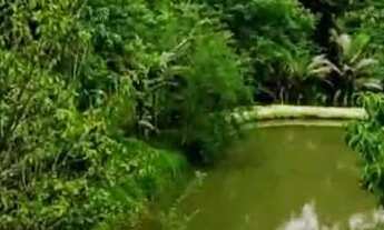 Imagem 5: Vendo chácara Chácara com venda por R$270.000