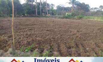 Imagem: Vendo lote na Praia do Ervino