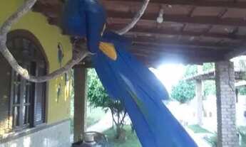 Imagem 7: Paraiso tranquilo