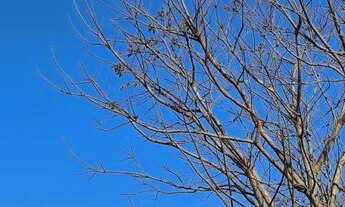 Imagem 6: Terreno ( Alvirado do Sul ) Quitado