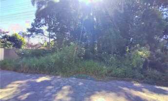 Imagem 2: Excelente Terreno no Bairro Costeira, distante 250 metros da lagoa, rua pavimentada